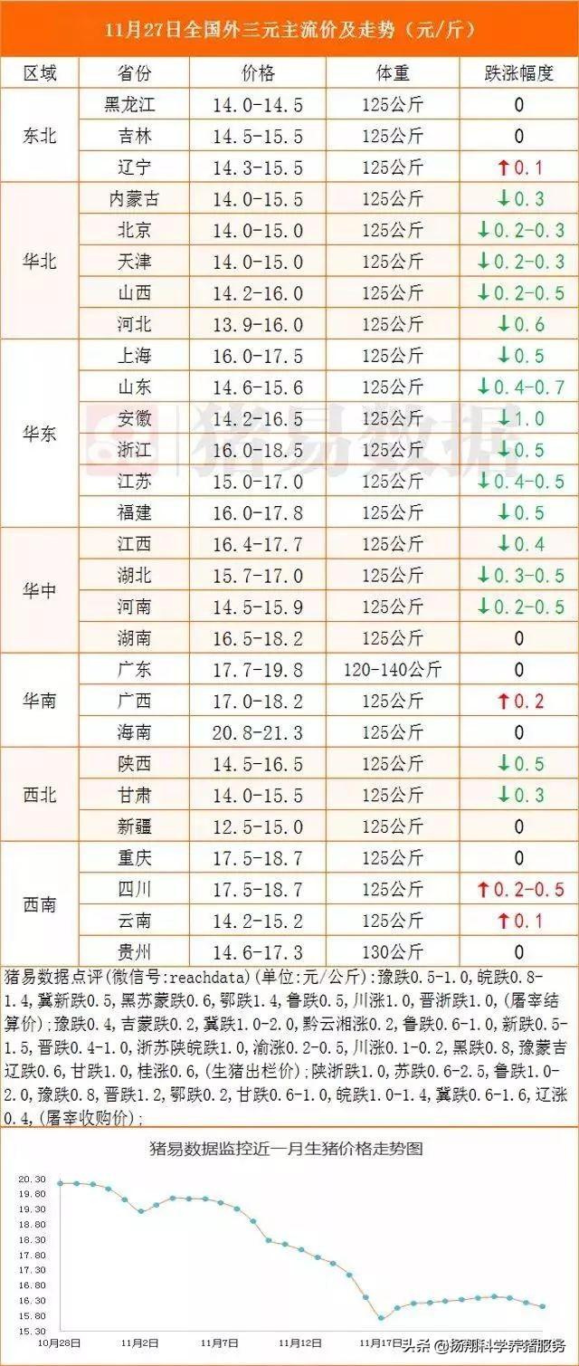 今日猪价格表概览与行情分析