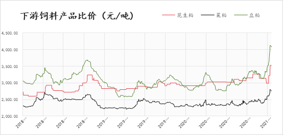 花生价格最新行情走势解析