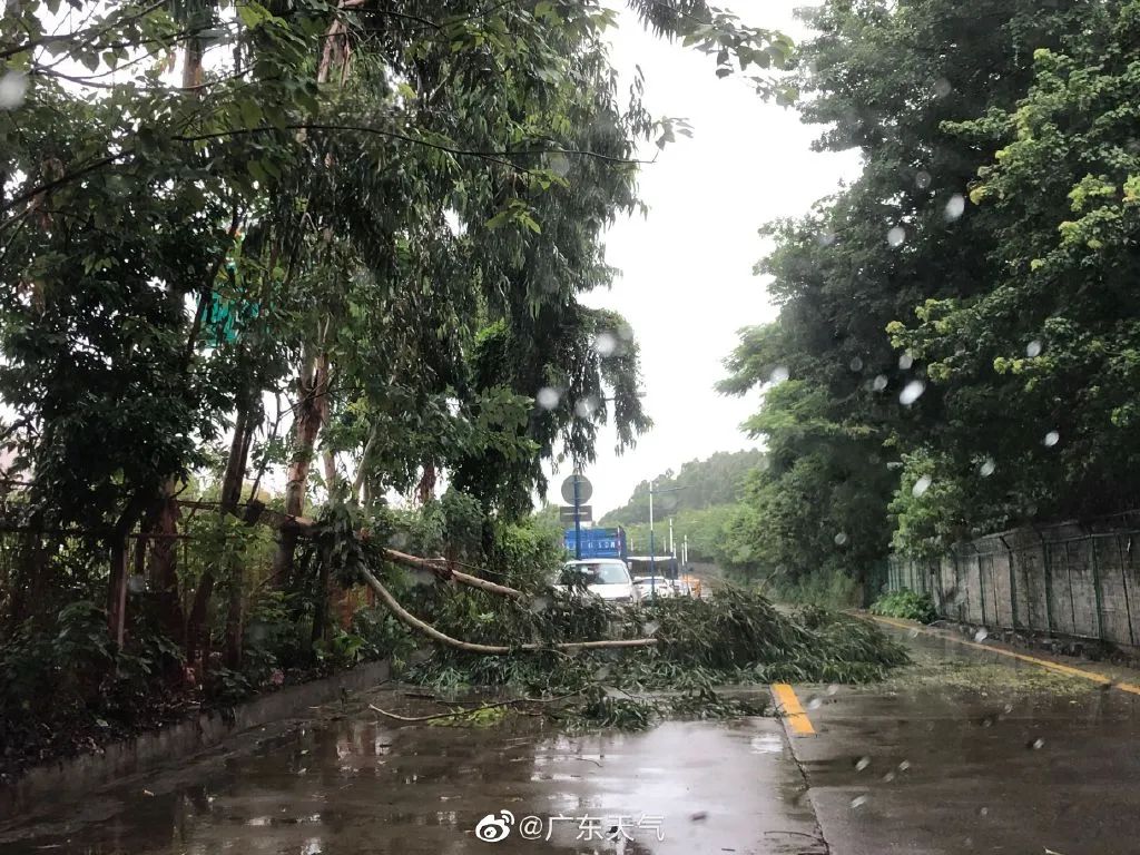 广州台风最新消息今日与应对建议