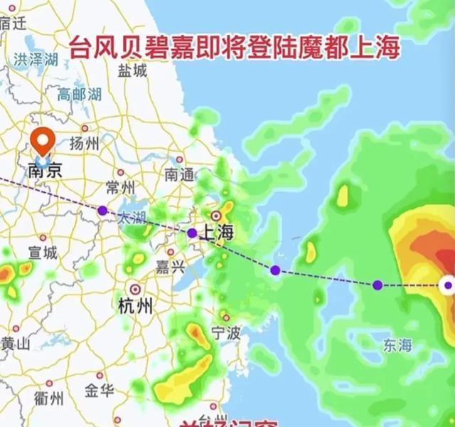 上海台风动态更新，城市应对与居民生活受风雨影响