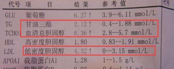 血脂正常值最新标准，维护您的血脂健康