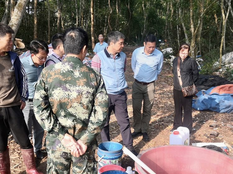 垌美农场，绿色生态发展的先锋力量最新报道