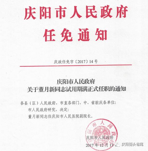 乐清市审计局人事任命揭晓，塑造未来审计格局的关键步伐