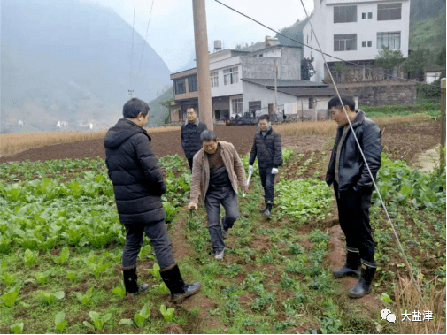 庙坝镇新项目，引领地方发展的强大动力源泉