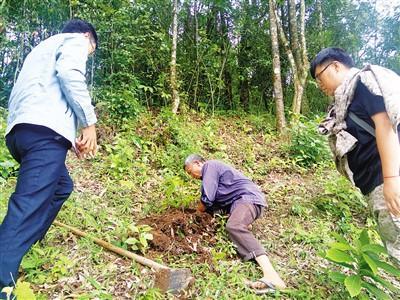 梧桐乡未来乡村新典范发展规划揭晓