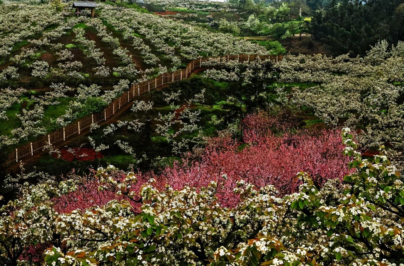 宜宾市旅游局最新招聘启事概览