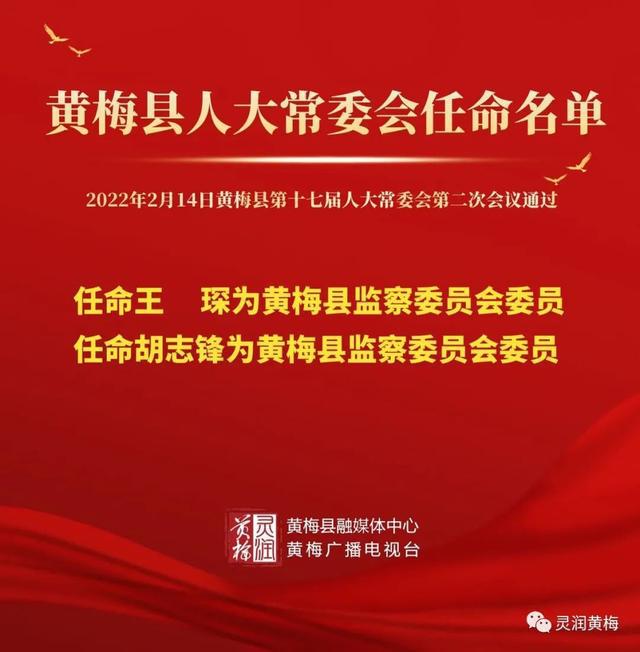 黄梅县人民政府办公室人事任命，引领未来，推动发展新篇章