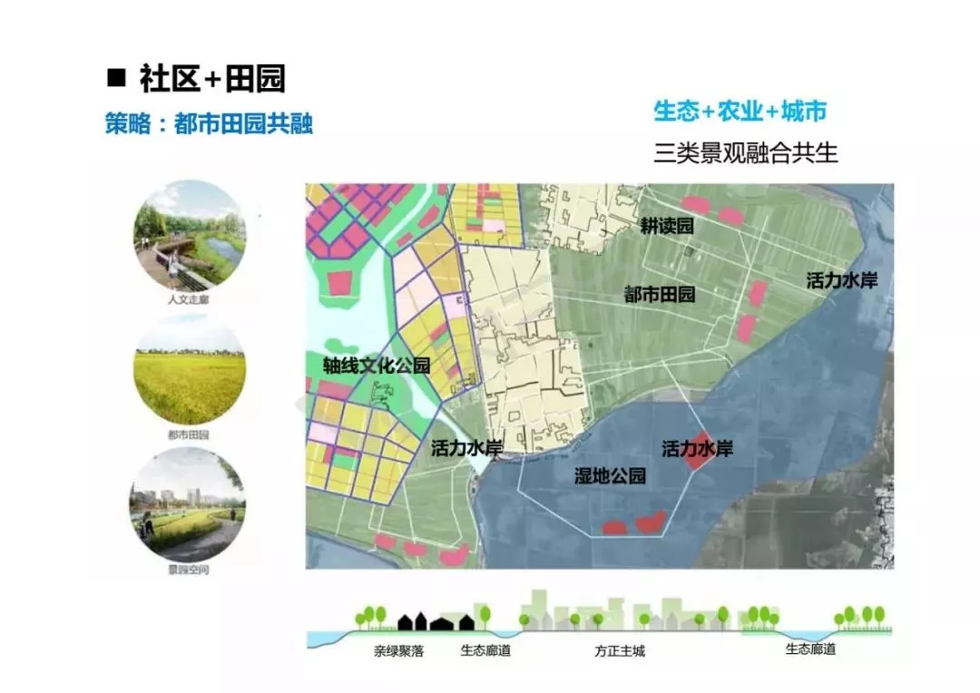 新胜乡重塑乡村面貌，最新发展规划推动可持续发展