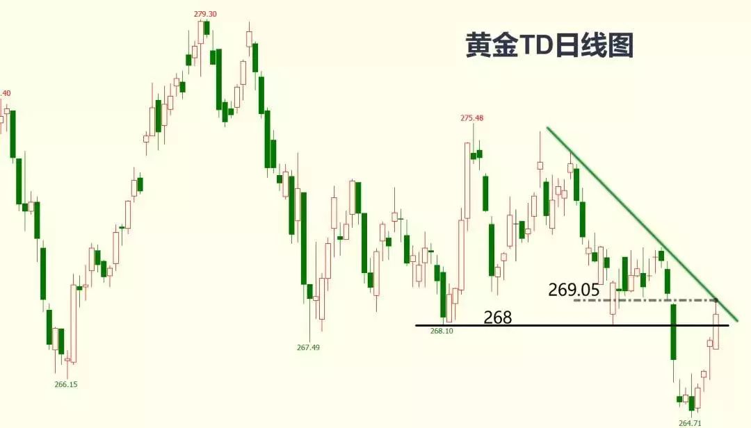 一白小姐一一肖必中特,快速设计响应解析_LT13.942