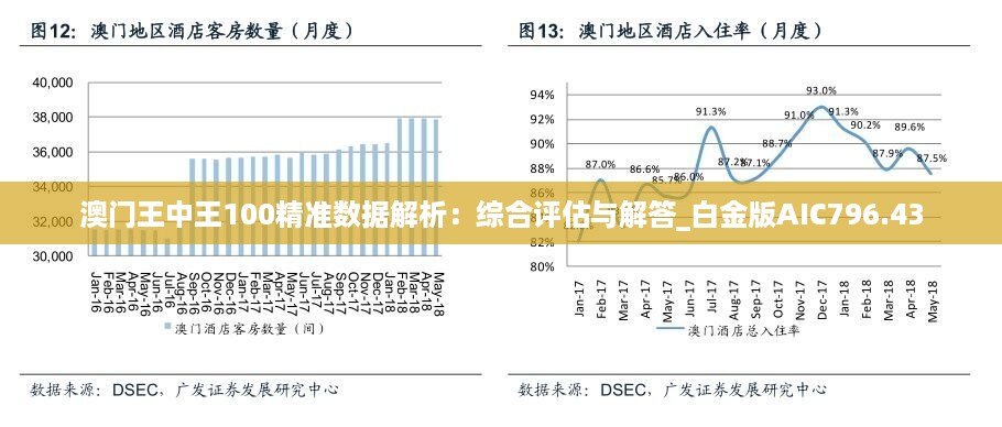 新澳门王中王100%期期中,数据实施导向策略_Max32.169