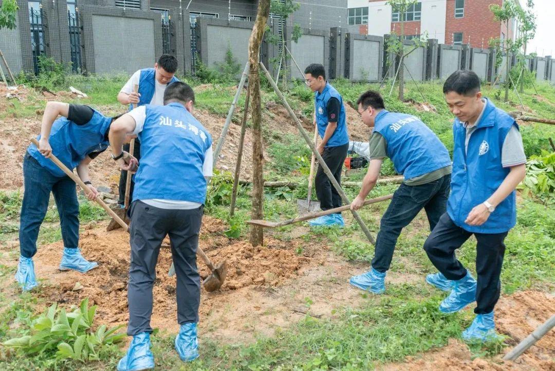 濠江内部资料最快最准,高速解析响应方案_LT25.166