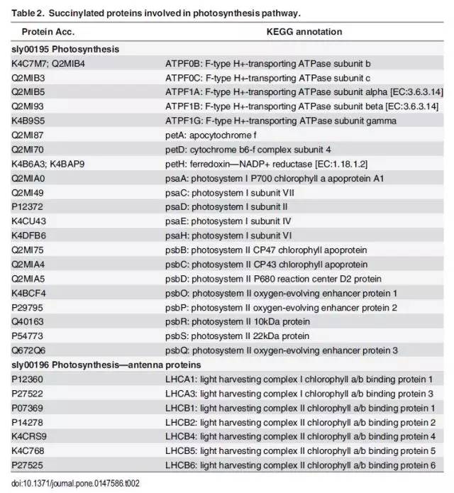 新澳全年免费资料大全,系统化评估说明_Prestige38.261