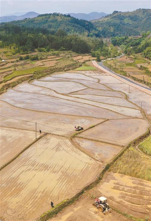 夏荣村展现新时代繁荣与进步，最新新闻报道