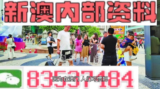 2024澳门正版免费精准资料,高效实施方法解析_标准版6.676