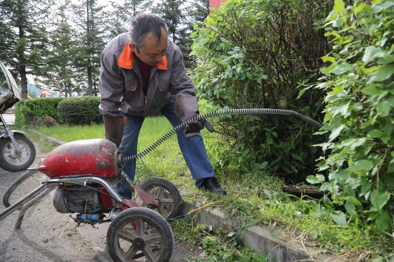 阿木尔林业局绿色繁荣新征程的规划展望