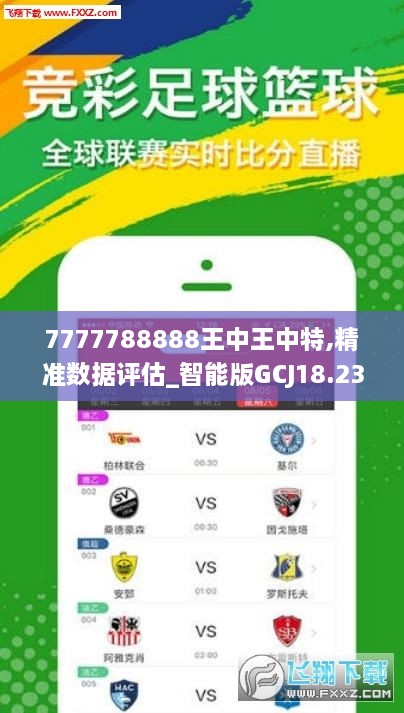 7777788888王中王中王特色功能,安全性策略解析_理财版48.128