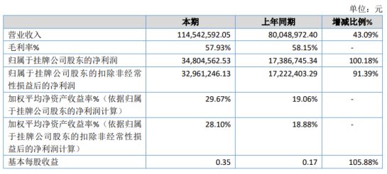 东区数据和政务服务局新项目推动数字化转型，优化政府服务水平