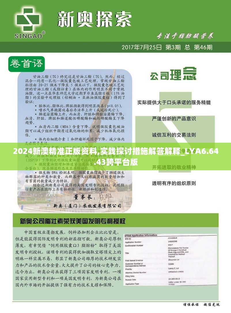 新澳2024年精准正版资料,精准实施分析_进阶款31.127