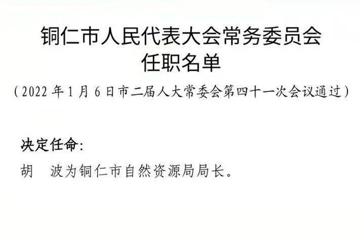 仁和区体育局人事任命揭晓，塑造未来体育新篇章蓝图启动