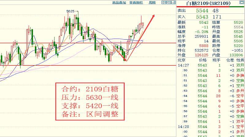 2024香港特马今晚开什么,全面解答解释落实_娱乐版305.210