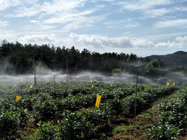 凤冈县水利局新项目引领地方水利建设新篇章