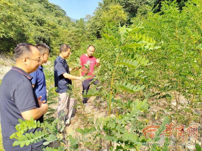 市中区审计局领导团队全新亮相，未来工作展望与期待