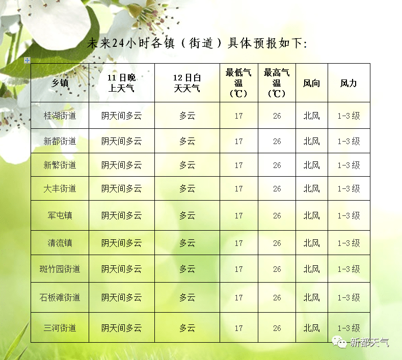 桃北街道天气预报更新通知