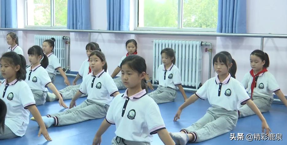 鹿泉市小学未来教育蓝图发展规划揭秘，塑造未来教育新篇章