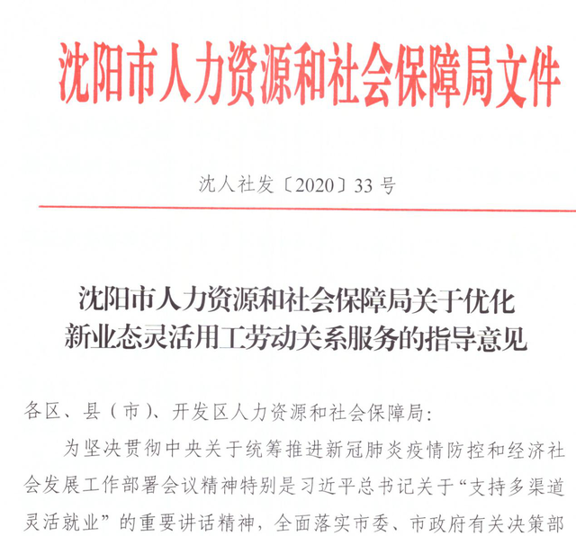 沈阳市劳动和社会保障局最新发展规划概览