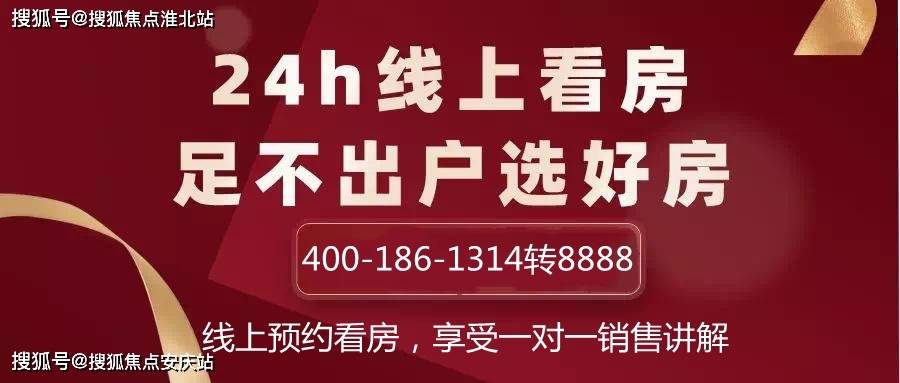 澳门一码一肖一恃一中240期,专业解析说明_冒险版74.572