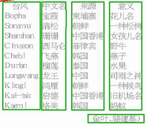 2024新澳门今天晚上开什么生肖,国产化作答解释落实_XE版44.90