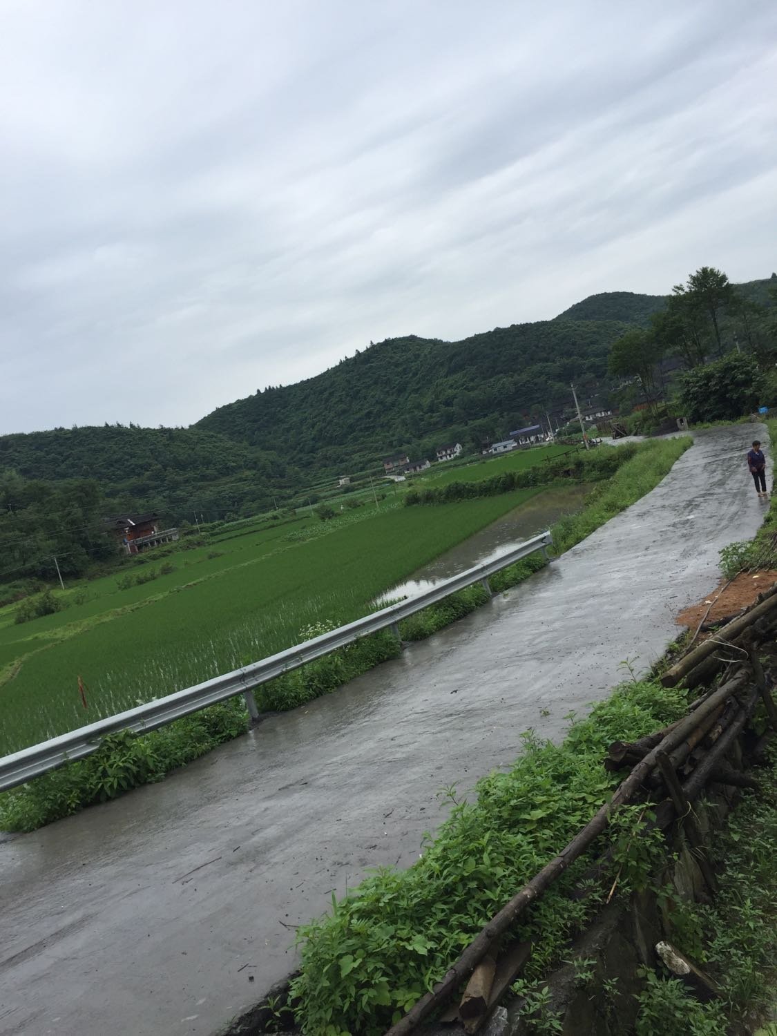 麻布加村最新天气预报