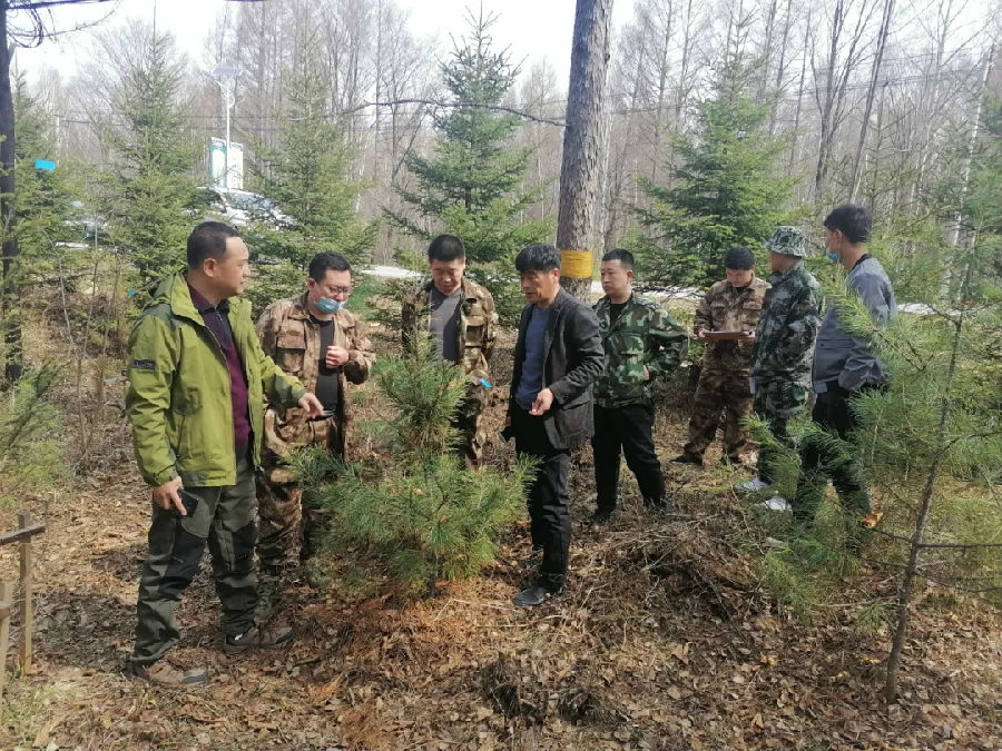 花滩林场最新招聘信息概览