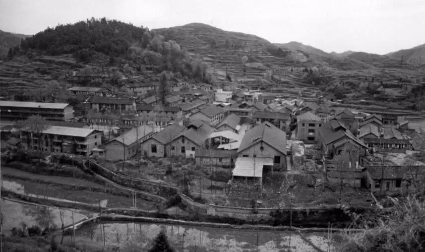 万山特区住房和城乡建设局最新项目进展报告概览