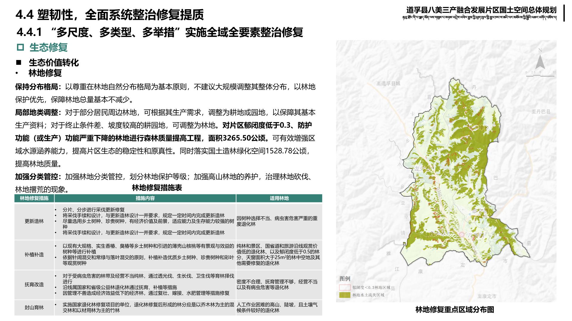 洛乡新规划引领繁荣篇章，开启新时代征程