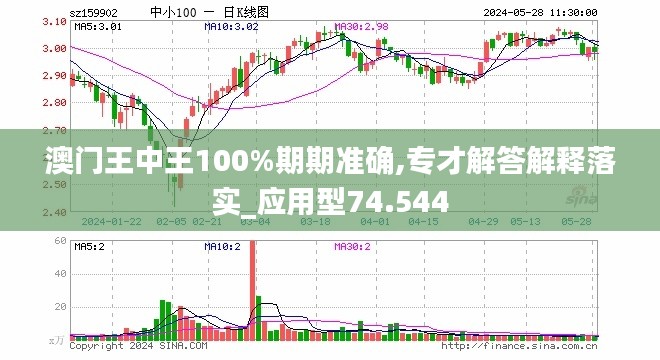 新澳门王中王100%期期中,深度策略应用数据_C版10.420