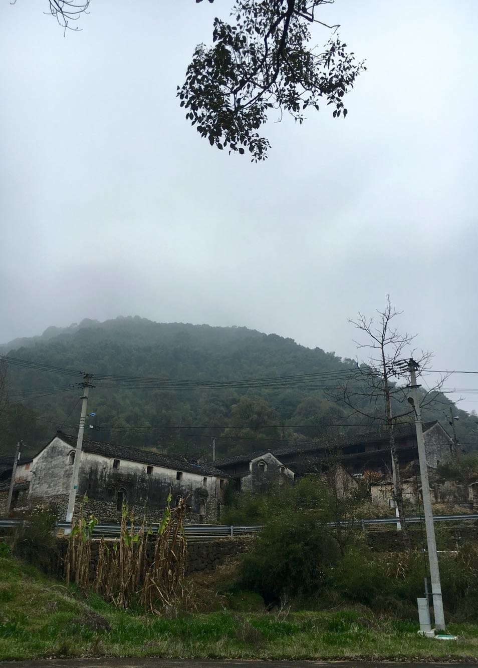 洞井镇天气预报更新通知