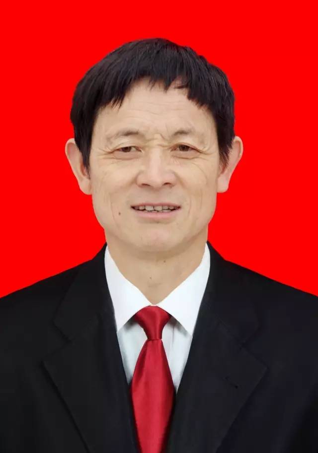 桂溪村新领导，引领繁荣先锋，塑造乡村未来