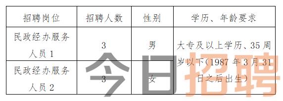 朝阳市信访局最新招聘公告概览