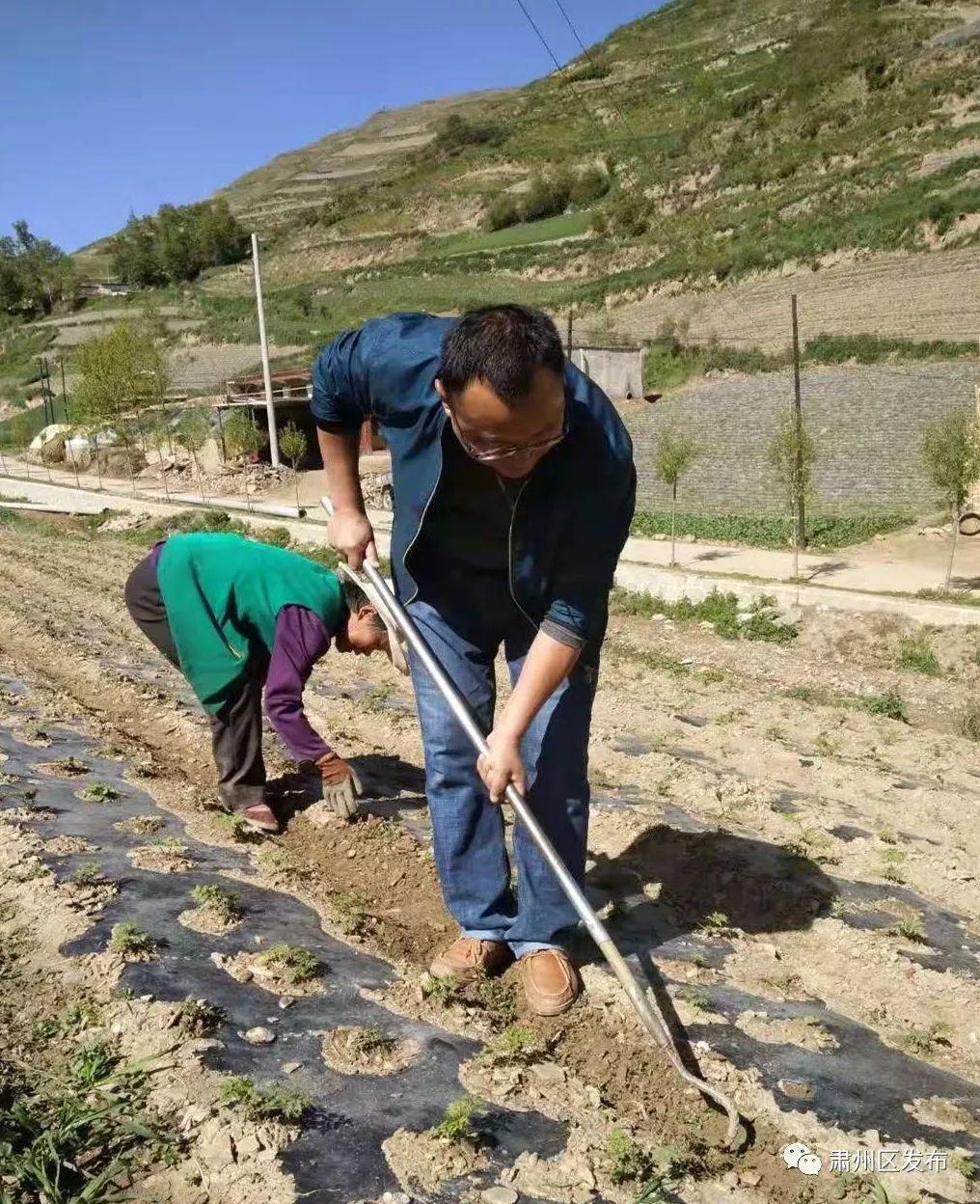 肃州区卫生健康局新项目推动卫生健康事业跃升新台阶