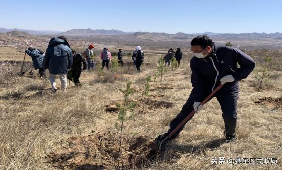 赛罕区民政局发展规划，构建和谐社会，开启服务民生新篇章