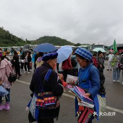 关岭布依族苗族自治县文化广电体育和旅游局最新动态概览