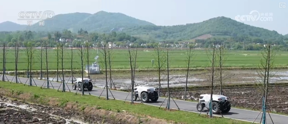 织贡农场交通状况持续改善，助力农场繁荣发展新闻标题