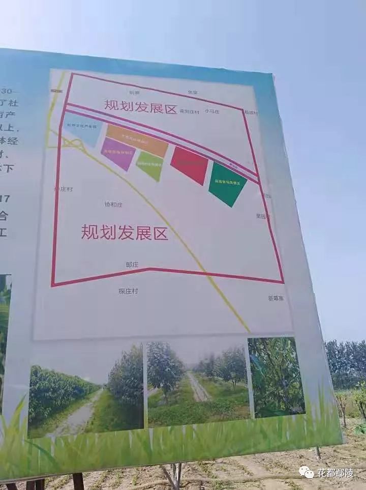 老店乡重塑乡村魅力，最新发展规划与可持续发展路径探索