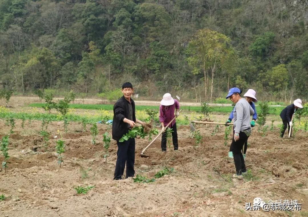 恭城瑶族自治县科技局领导团队最新概述