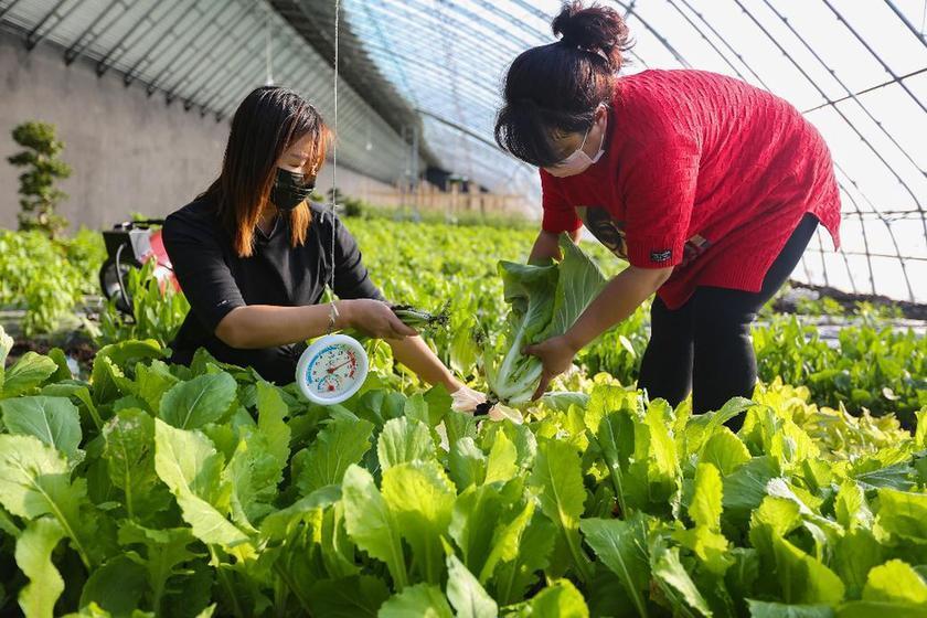 索伦牧场最新招聘信息全解析，内容与探讨