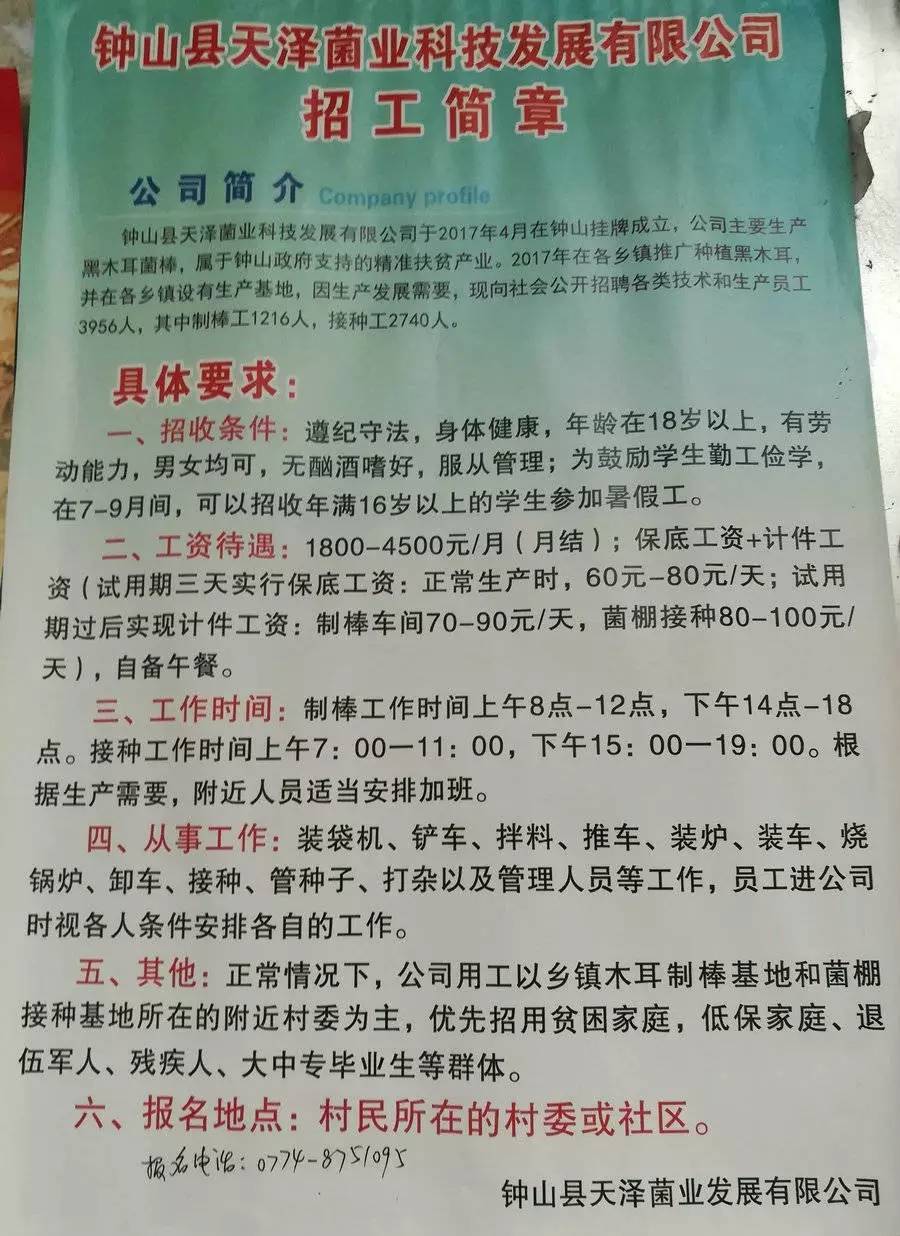 仲村镇最新招聘信息汇总