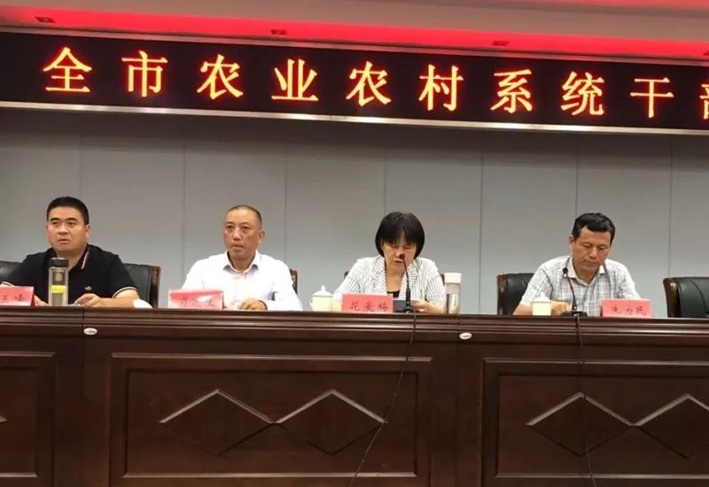 无为县农业农村局人事任命揭晓，塑造未来农业新篇章