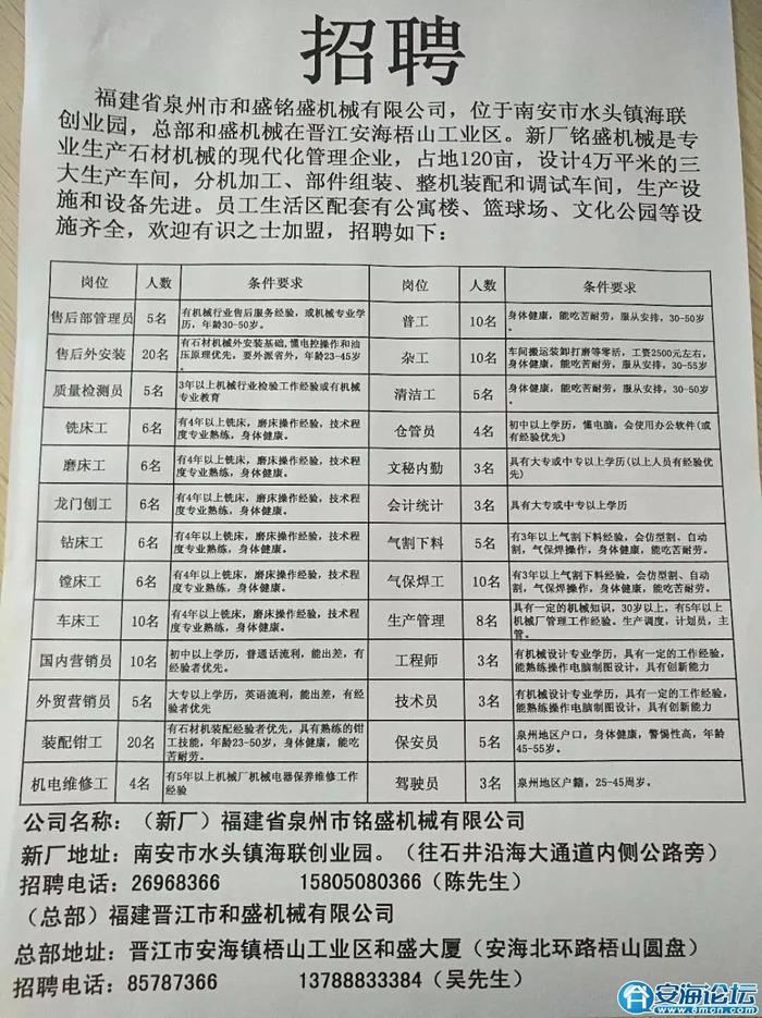 浦口区人民政府办公室最新招聘通告概览