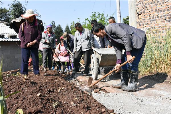 桃树坪村委会最新动态报道